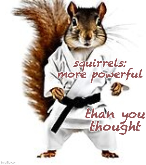 Even when the month ends, they'll be here | squirrels:
more powerful; than you
thought | image tagged in squirrels,rodents,power,karate | made w/ Imgflip meme maker