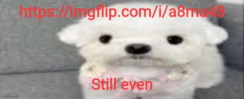 Dog stating | https://imgflip.com/i/a8ma48; Still even | image tagged in dog stating | made w/ Imgflip meme maker