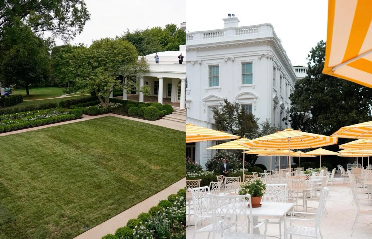 White House Rose Garden Trump's McDonald's Patio Blank Meme Template