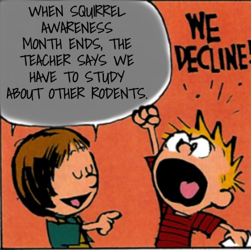 We refuse | WHEN SQUIRREL AWARENESS MONTH ENDS, THE TEACHER SAYS WE HAVE TO STUDY ABOUT OTHER RODENTS. | image tagged in we refuse | made w/ Imgflip meme maker