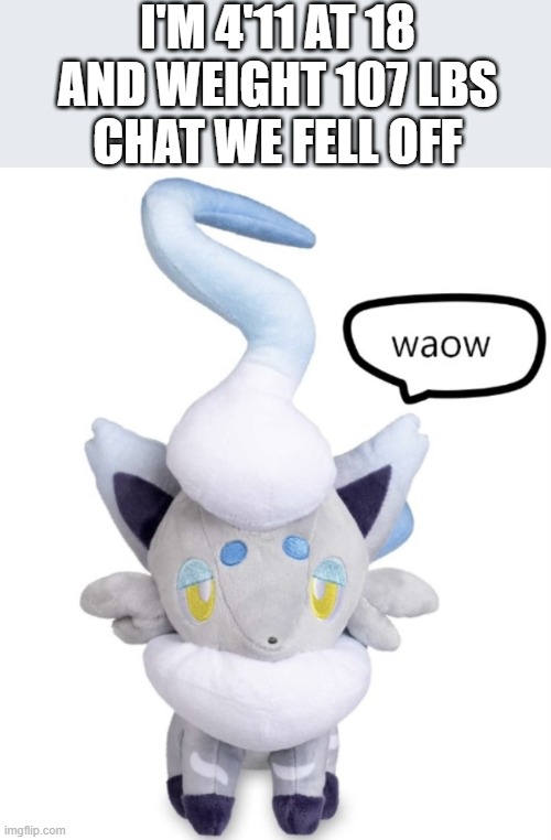 shit | I'M 4'11 AT 18 AND WEIGHT 107 LBS
CHAT WE FELL OFF | image tagged in waow | made w/ Imgflip meme maker