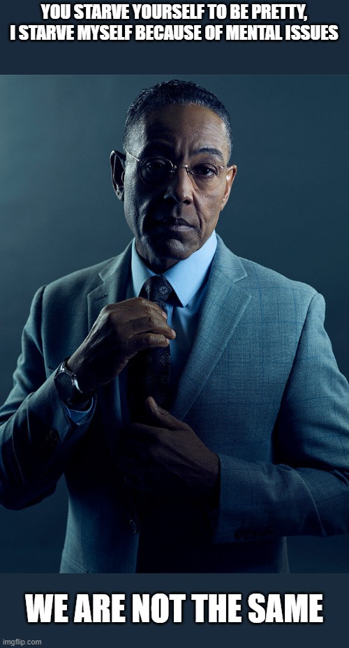 buh | YOU STARVE YOURSELF TO BE PRETTY, I STARVE MYSELF BECAUSE OF MENTAL ISSUES; WE ARE NOT THE SAME | image tagged in gus fring we are not the same | made w/ Imgflip meme maker