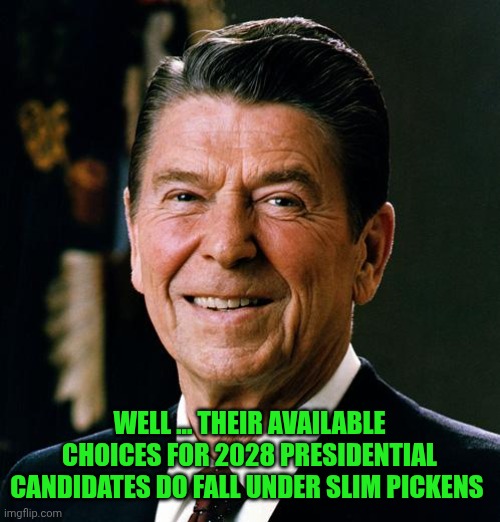 Ronald Reagan face | WELL ... THEIR AVAILABLE CHOICES FOR 2028 PRESIDENTIAL CANDIDATES DO FALL UNDER SLIM PICKENS | image tagged in ronald reagan face | made w/ Imgflip meme maker