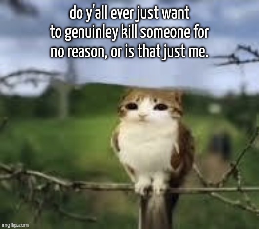A meowl | do y'all ever just want to genuinley kill someone for no reason, or is that just me. | image tagged in a meowl | made w/ Imgflip meme maker
