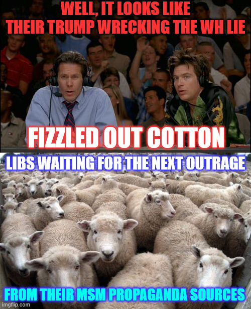 When their MSM starts telling the truth and they have to stop with the original lie | WELL, IT LOOKS LIKE THEIR TRUMP WRECKING THE WH LIE; FIZZLED OUT COTTON; LIBS WAITING FOR THE NEXT OUTRAGE; FROM THEIR MSM PROPAGANDA SOURCES | image tagged in sheeple,waiting for next msm talking point,last one died | made w/ Imgflip meme maker