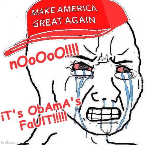 Crying wojak maga | nOoOoO!!!! iT's ObAmA's FaUlT!!!!! | image tagged in crying wojak maga | made w/ Imgflip meme maker