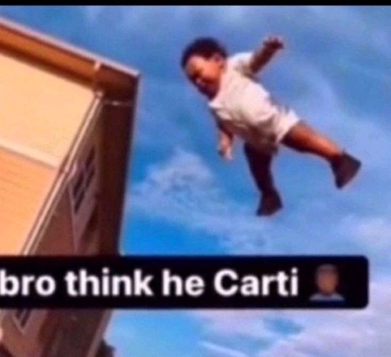 i could fall from the sky and feel nothing !! | made w/ Imgflip meme maker