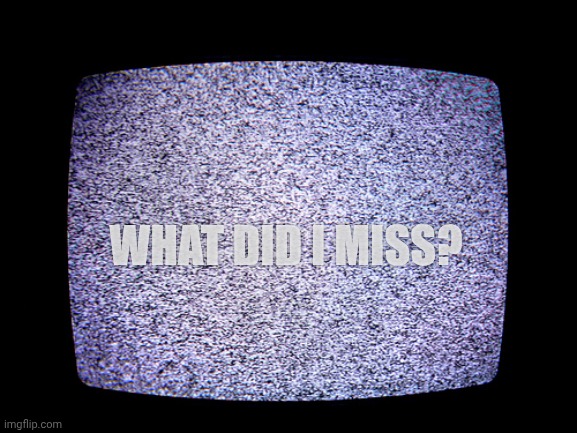 Static | WHAT DID I MISS? | image tagged in static | made w/ Imgflip meme maker