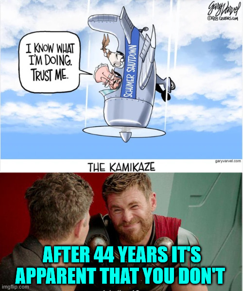 Shutdown schumer | AFTER 44 YEARS IT'S APPARENT THAT YOU DON'T | image tagged in shutdown schumer | made w/ Imgflip meme maker