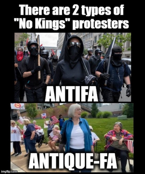 I wonder who they pay more | image tagged in two types,no kings protesters | made w/ Imgflip meme maker