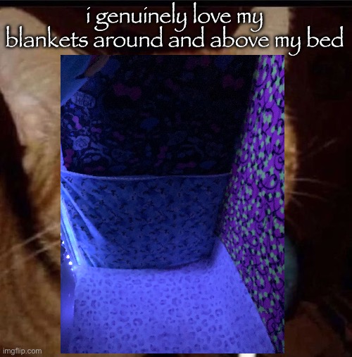 this photos excluding my garfield one which hides my hammock of stuffed animals | i genuinely love my blankets around and above my bed | image tagged in silly goober 2 | made w/ Imgflip meme maker
