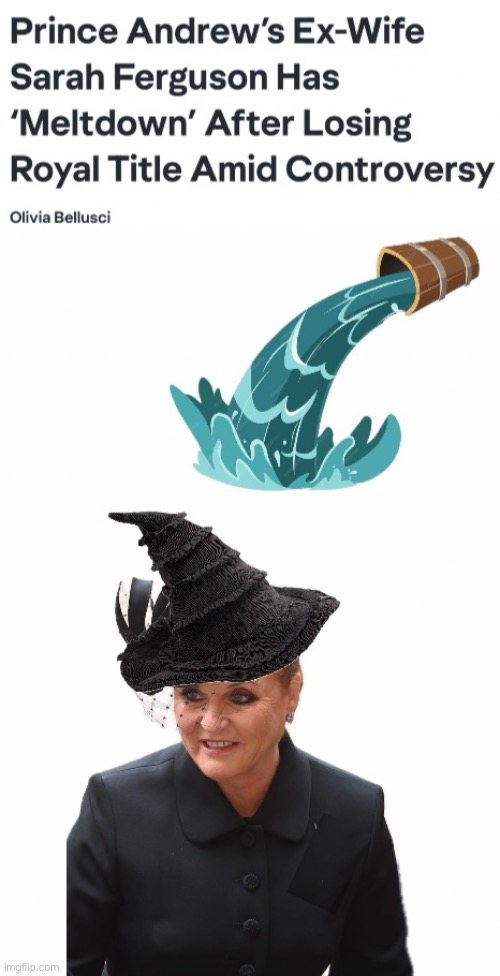 She's Melting | image tagged in grifter,chancer,enabler,liar | made w/ Imgflip meme maker