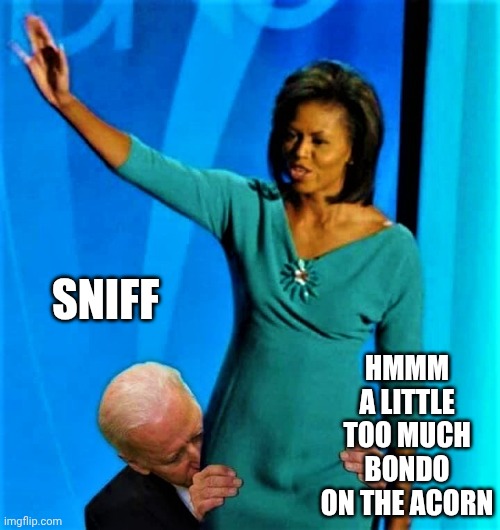 Biden sniffs Michelle Obama | SNIFF HMMM
A LITTLE TOO MUCH BONDO ON THE ACORN | image tagged in biden sniffs michelle obama | made w/ Imgflip meme maker