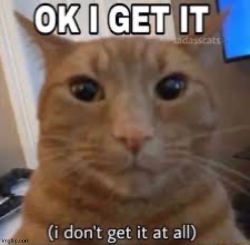 I need to start posting actual memes. | made w/ Imgflip meme maker