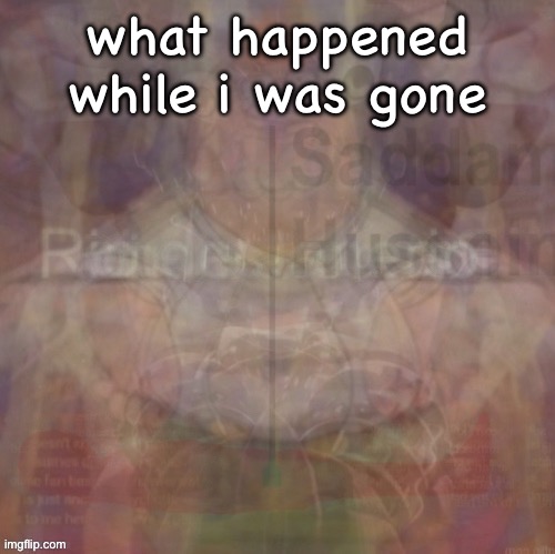 insanity | what happened while i was gone | image tagged in insanity | made w/ Imgflip meme maker