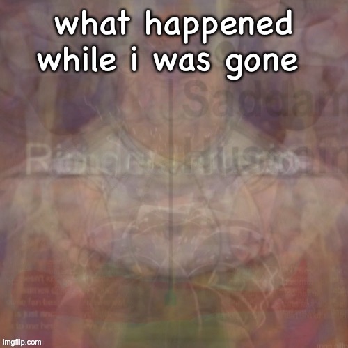 insanity | what happened while i was gone | image tagged in insanity | made w/ Imgflip meme maker