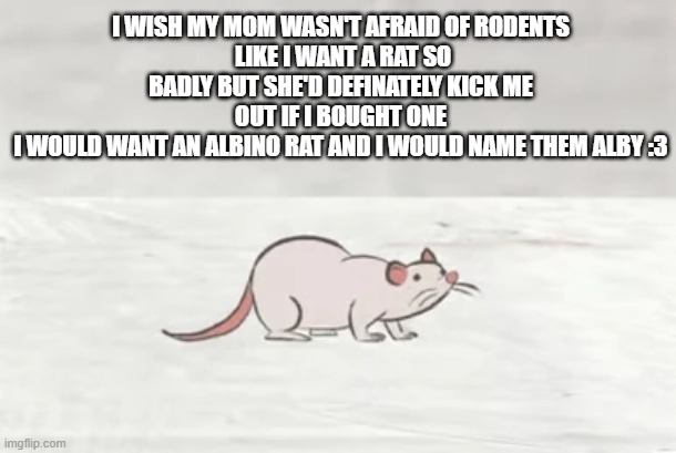 i want a silly critter :( | I WISH MY MOM WASN'T AFRAID OF RODENTS
 LIKE I WANT A RAT SO BADLY BUT SHE'D DEFINATELY KICK ME OUT IF I BOUGHT ONE
I WOULD WANT AN ALBINO RAT AND I WOULD NAME THEM ALBY :3 | made w/ Imgflip meme maker
