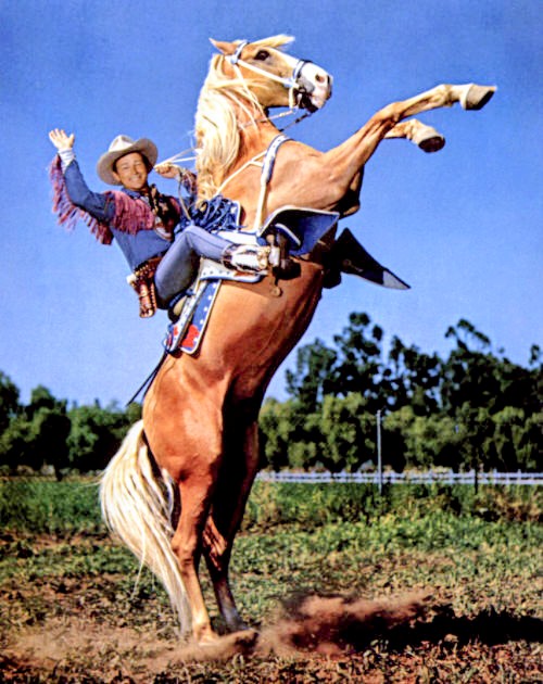 You've been Triggered Blank Meme Template