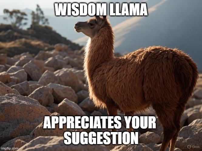 wiadom llama | WISDOM LLAMA; APPRECIATES YOUR 
SUGGESTION | image tagged in wisdom llama | made w/ Imgflip meme maker