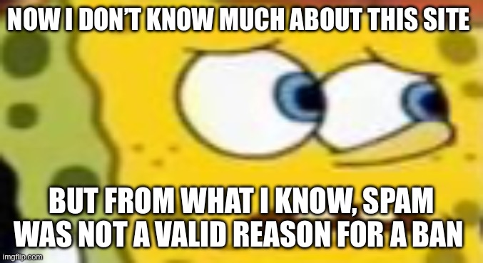 This Just Feels Like Mod Abuse To Me | NOW I DON’T KNOW MUCH ABOUT THIS SITE; BUT FROM WHAT I KNOW, SPAM WAS NOT A VALID REASON FOR A BAN | image tagged in spon bob,mod abuse,idiots,funny,memes | made w/ Imgflip meme maker