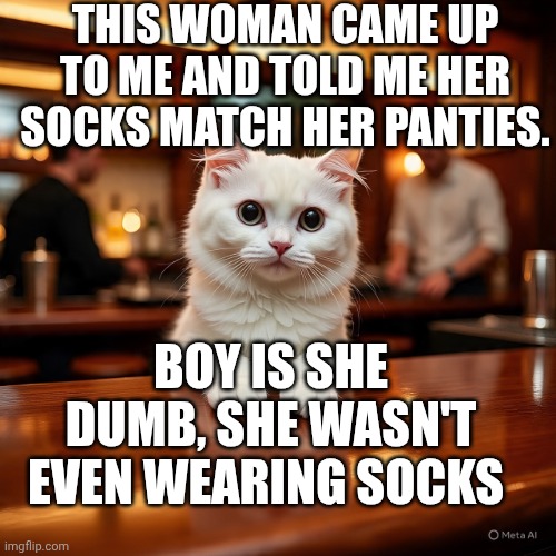 THIS WOMAN CAME UP TO ME AND TOLD ME HER SOCKS MATCH HER PANTIES. BOY IS SHE DUMB, SHE WASN'T EVEN WEARING SOCKS | image tagged in smudge the cat | made w/ Imgflip meme maker