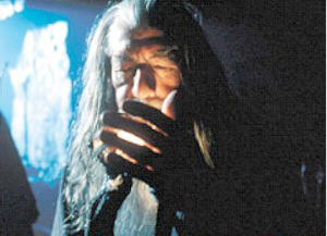 Gandalf walking stick Blank Meme Template