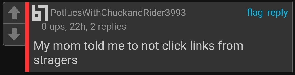 My mom told me not to click links from strangers Blank Meme Template