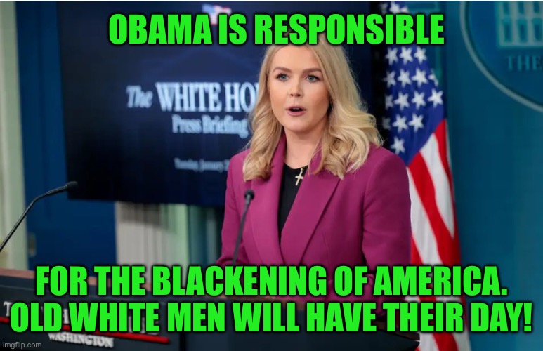 OBAMA IS RESPONSIBLE; FOR THE BLACKENING OF AMERICA. OLD WHITE MEN WILL HAVE THEIR DAY! | image tagged in demotivationals | made w/ Imgflip meme maker