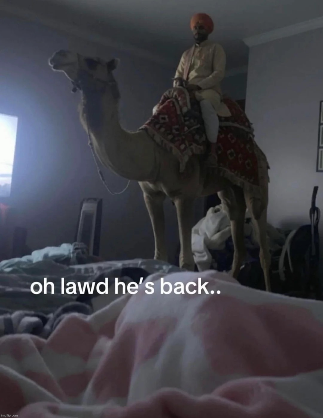 made w/ Imgflip meme maker