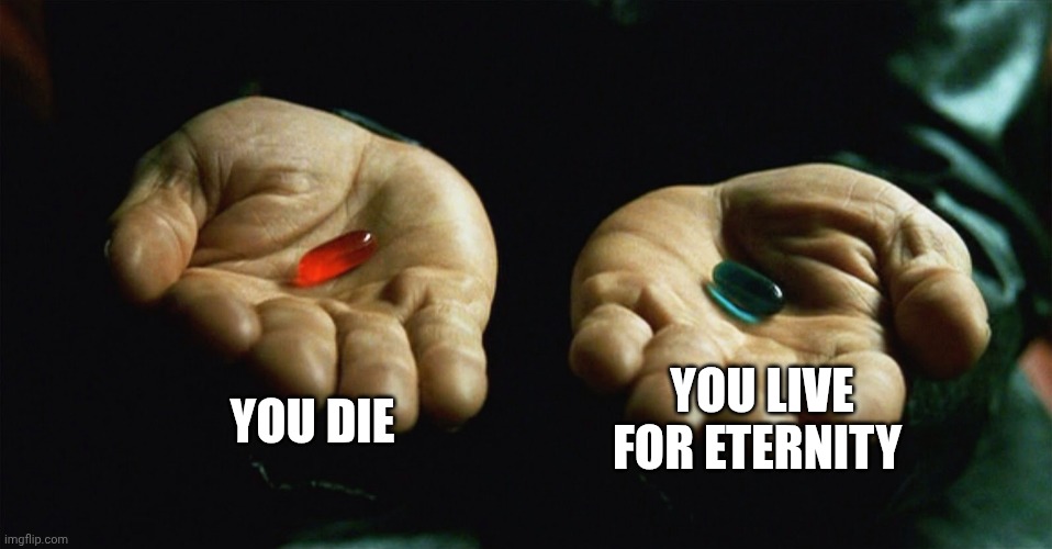 which one would you pick | YOU DIE; YOU LIVE FOR ETERNITY | image tagged in red pill blue pill,choices,memes,pills | made w/ Imgflip meme maker