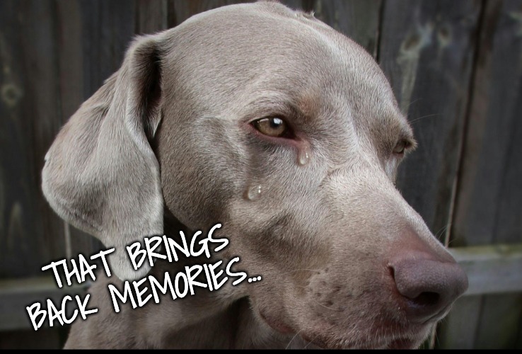 THAT BRINGS BACK MEMORIES... | made w/ Imgflip meme maker