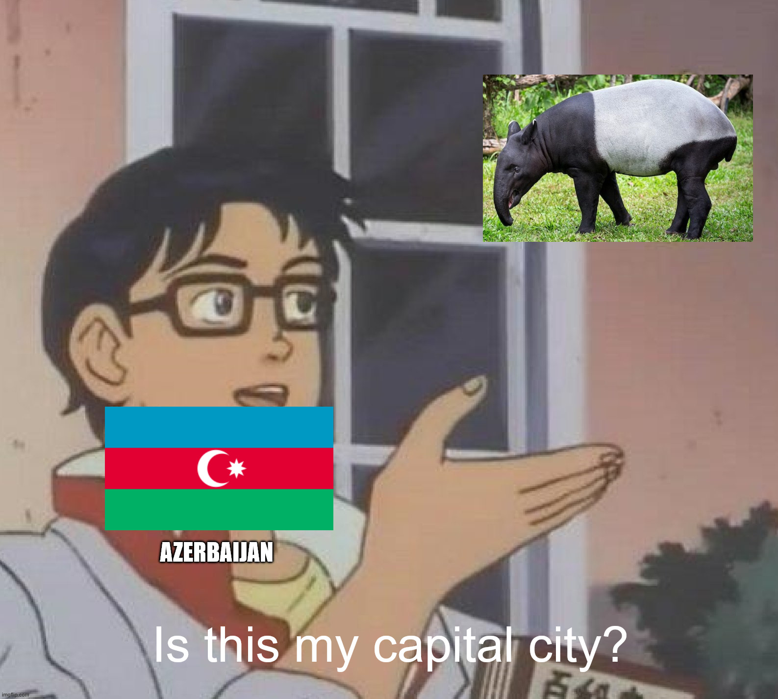 Tapir in Japanese is バク | AZERBAIJAN; Is this my capital city? | image tagged in is this butterfly,wtf,country,geography,asia,azerbaijan | made w/ Imgflip meme maker