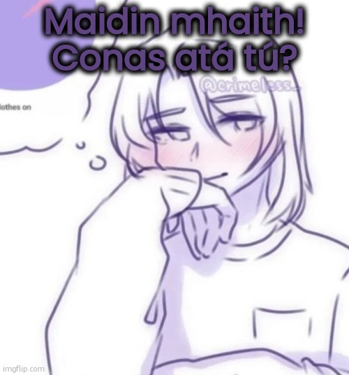 Smug look | Maidin mhaith! Conas atá tú? | image tagged in smug look | made w/ Imgflip meme maker
