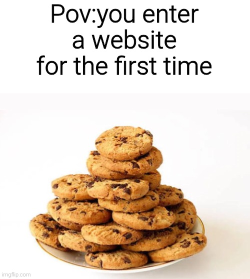 Cookies. | Pov:you enter a website for the first time | image tagged in funny,memes,funny memes,cookies | made w/ Imgflip meme maker