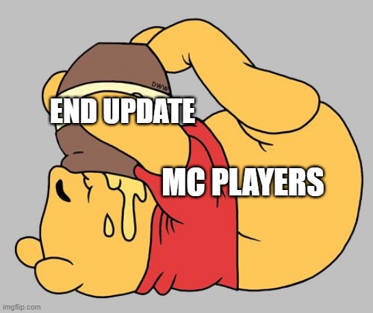 MINECRAFT END UPDATE MEME | END UPDATE; MC PLAYERS | image tagged in winnie the pooh | made w/ Imgflip meme maker