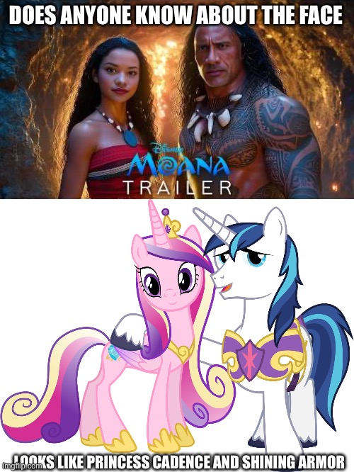 Does anyone know about Princess Cadence | DOES ANYONE KNOW ABOUT THE FACE; LOOKS LIKE PRINCESS CADENCE AND SHINING ARMOR | image tagged in my little pony | made w/ Imgflip meme maker
