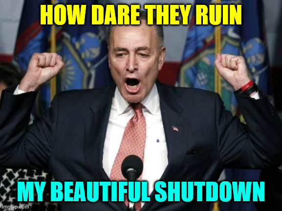 Angry Chuck Schumer yelling | HOW DARE THEY RUIN MY BEAUTIFUL SHUTDOWN | image tagged in angry chuck schumer yelling | made w/ Imgflip meme maker