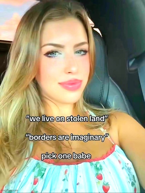 The whole colonisation accusation doesn't apply to me because I live in my indigenous homeland but still. It's true. | image tagged in memes | made w/ Imgflip meme maker