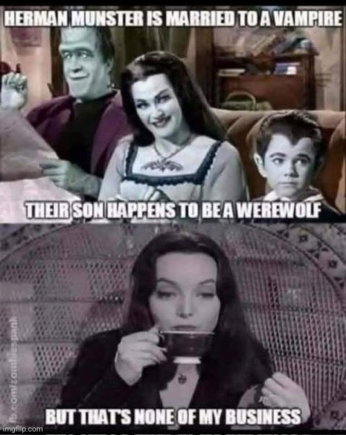 Never really thought of that... | image tagged in the munsters,addams family,frankenstein,vampire,werewolf,family | made w/ Imgflip meme maker