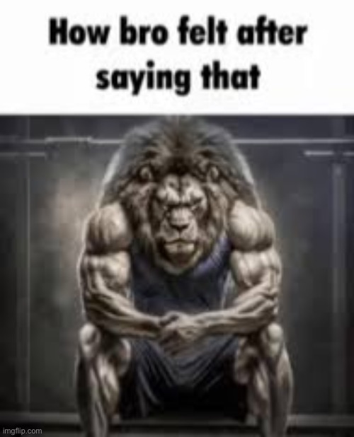 How bro felt | image tagged in how bro felt after saying that,msmg | made w/ Imgflip meme maker