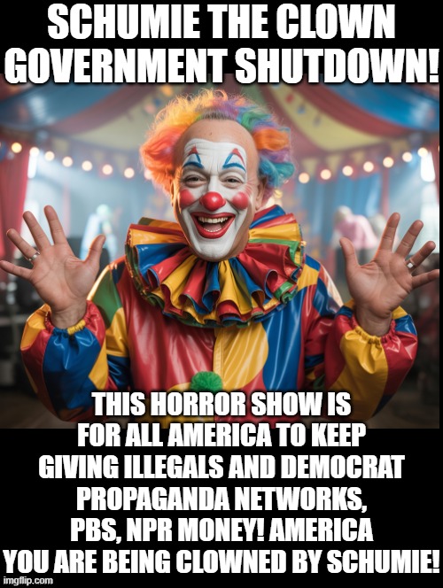 Schumie the Clown Government shutdown! | SCHUMIE THE CLOWN GOVERNMENT SHUTDOWN! THIS HORROR SHOW IS FOR ALL AMERICA TO KEEP GIVING ILLEGALS AND DEMOCRAT PROPAGANDA NETWORKS, PBS, NPR MONEY! AMERICA YOU ARE BEING CLOWNED BY SCHUMIE! | image tagged in you are not a clown you are the entire circus | made w/ Imgflip meme maker