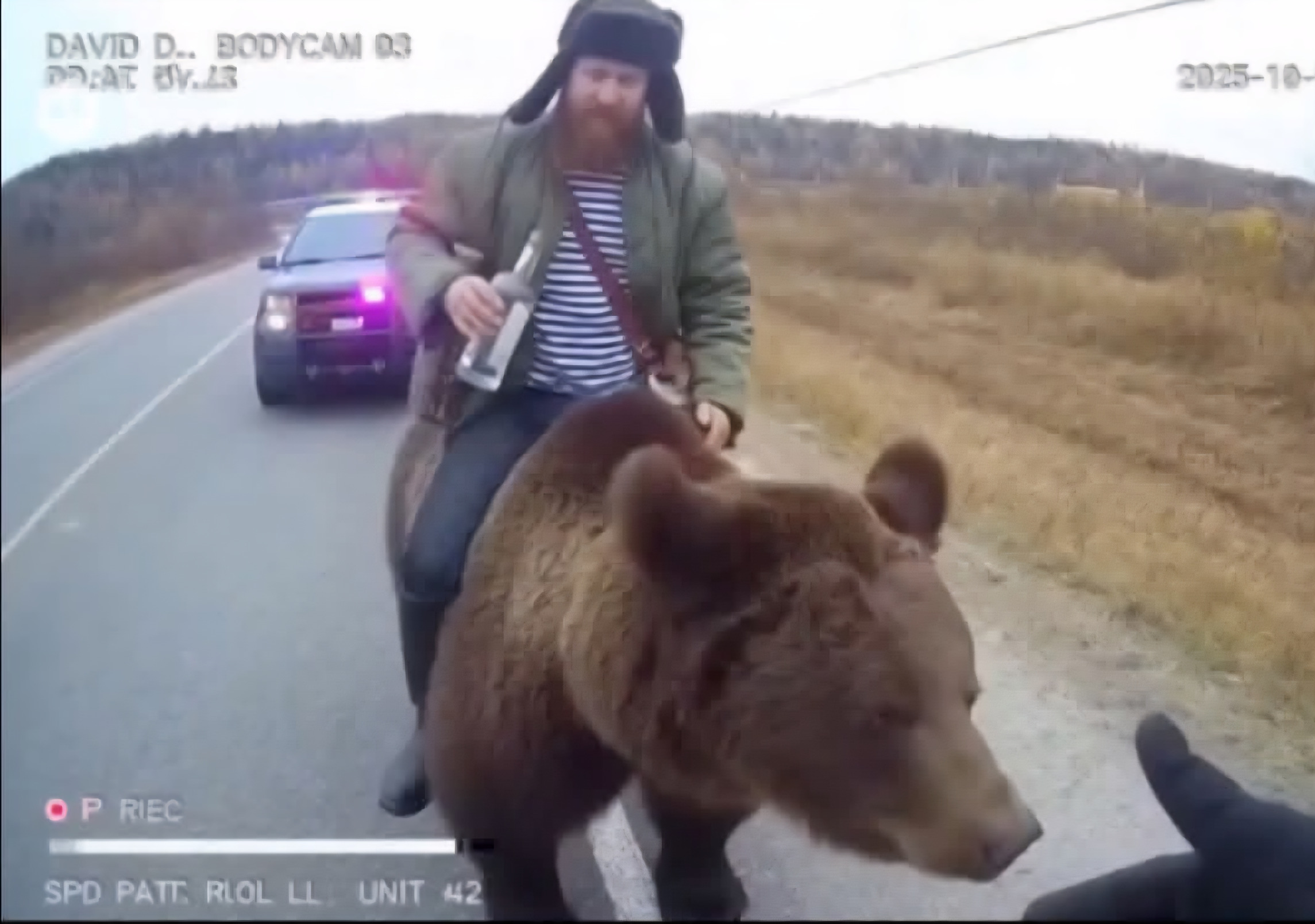 Man riding bear Blank Meme Template