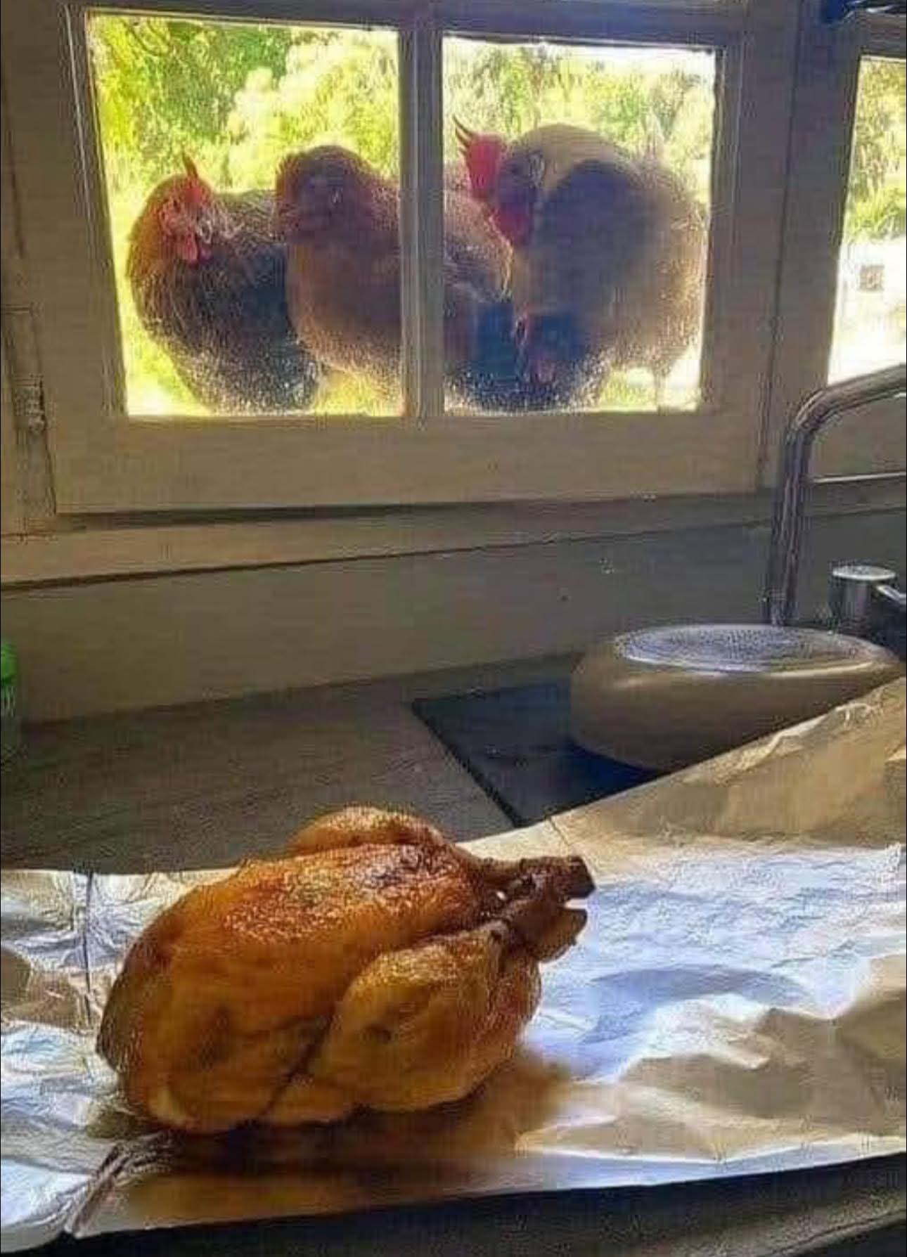 Chicken conspiracy Blank Meme Template