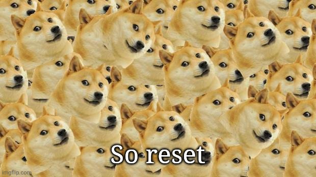 Multi Doge Meme | So reset | image tagged in memes,multi doge | made w/ Imgflip meme maker