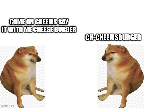 cheemsburger | COME ON CHEEMS SAY IT WITH ME CHEESE BURGER; CH-CHEEMSBURGER | image tagged in cheems,hamburger | made w/ Imgflip meme maker