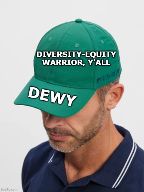 Diversity-Equity Movement | DIVERSITY-EQUITY WARRIOR, Y'ALL; DEWY | image tagged in diversity,social justice,justice,civil rights,human rights | made w/ Imgflip meme maker