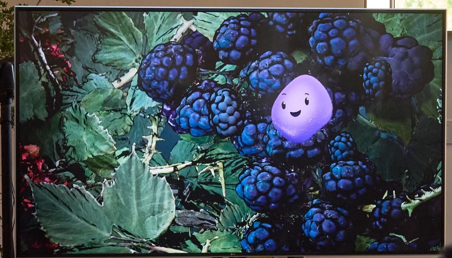 High Quality AI Grape Blank Meme Template