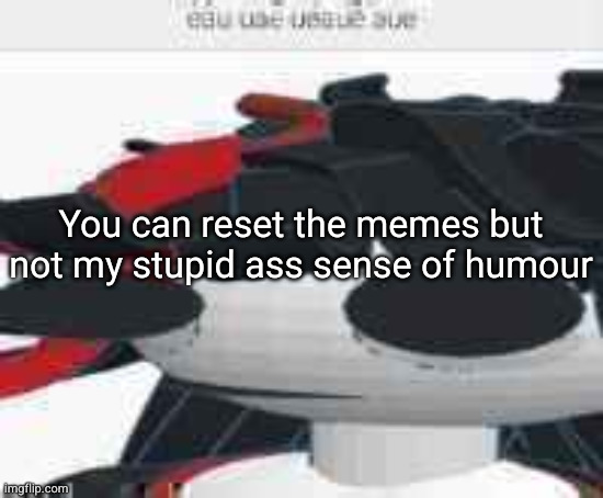 eau uae ueaue aue | You can reset the memes but not my stupid ass sense of humour | image tagged in eau uae ueaue aue | made w/ Imgflip meme maker
