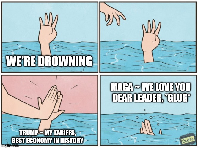 High five drown | WE'RE DROWNING MAGA ~ WE LOVE YOU 
DEAR LEADER, *GLUG* TRUMP ~ MY TARIFFS, 
BEST ECONOMY IN HISTORY | image tagged in high five drown | made w/ Imgflip meme maker