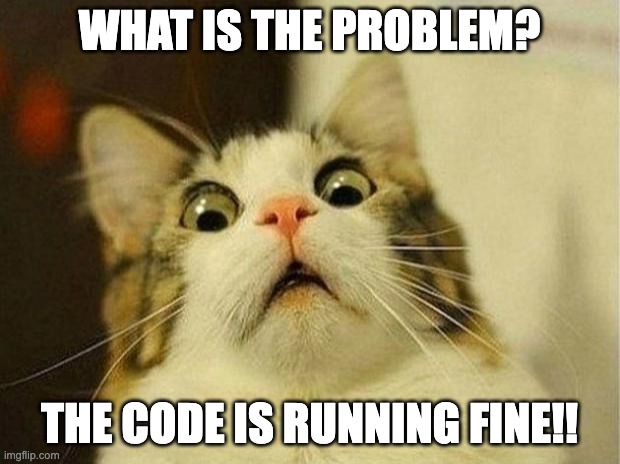 What is the problem | WHAT IS THE PROBLEM? THE CODE IS RUNNING FINE!! | image tagged in memes,scared cat | made w/ Imgflip meme maker